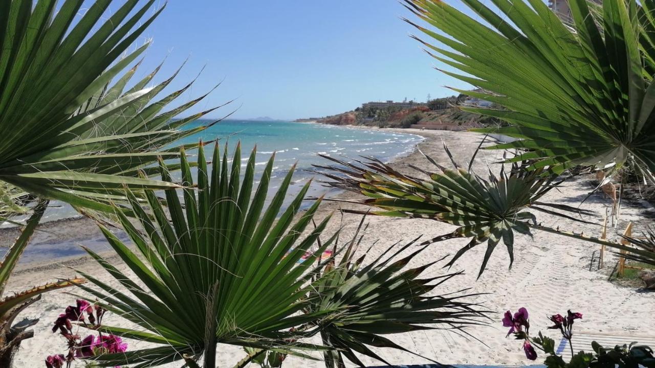 Mirador De Aguamarina Lejlighed Campoamor Eksteriør billede